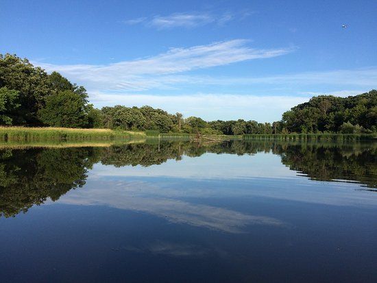 Busse Woods Trail System